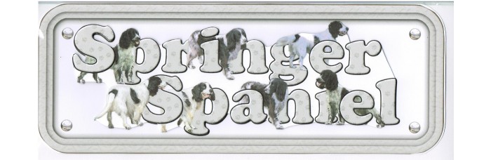 Springer Spaniel - black